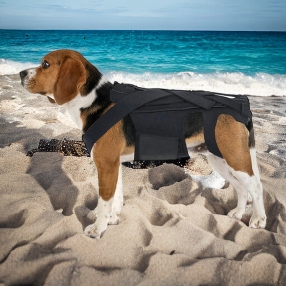 Snapklik | Dog | Dog Back Brace For Ivdd Back Brace Comfortable Full ...
